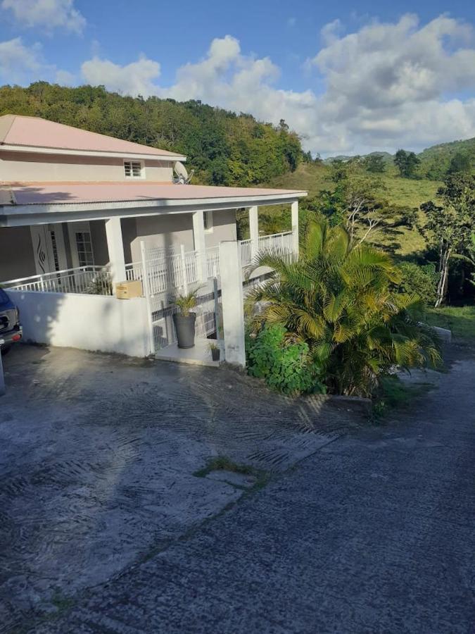 Chez Coco Appartement Balisier Riviere-Salee Bagian luar foto